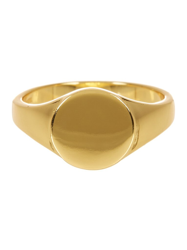 Men's Signet Ring with Circular Crest made of Sterling Silver in 14k Gold Sterling Forever Gold 5 
